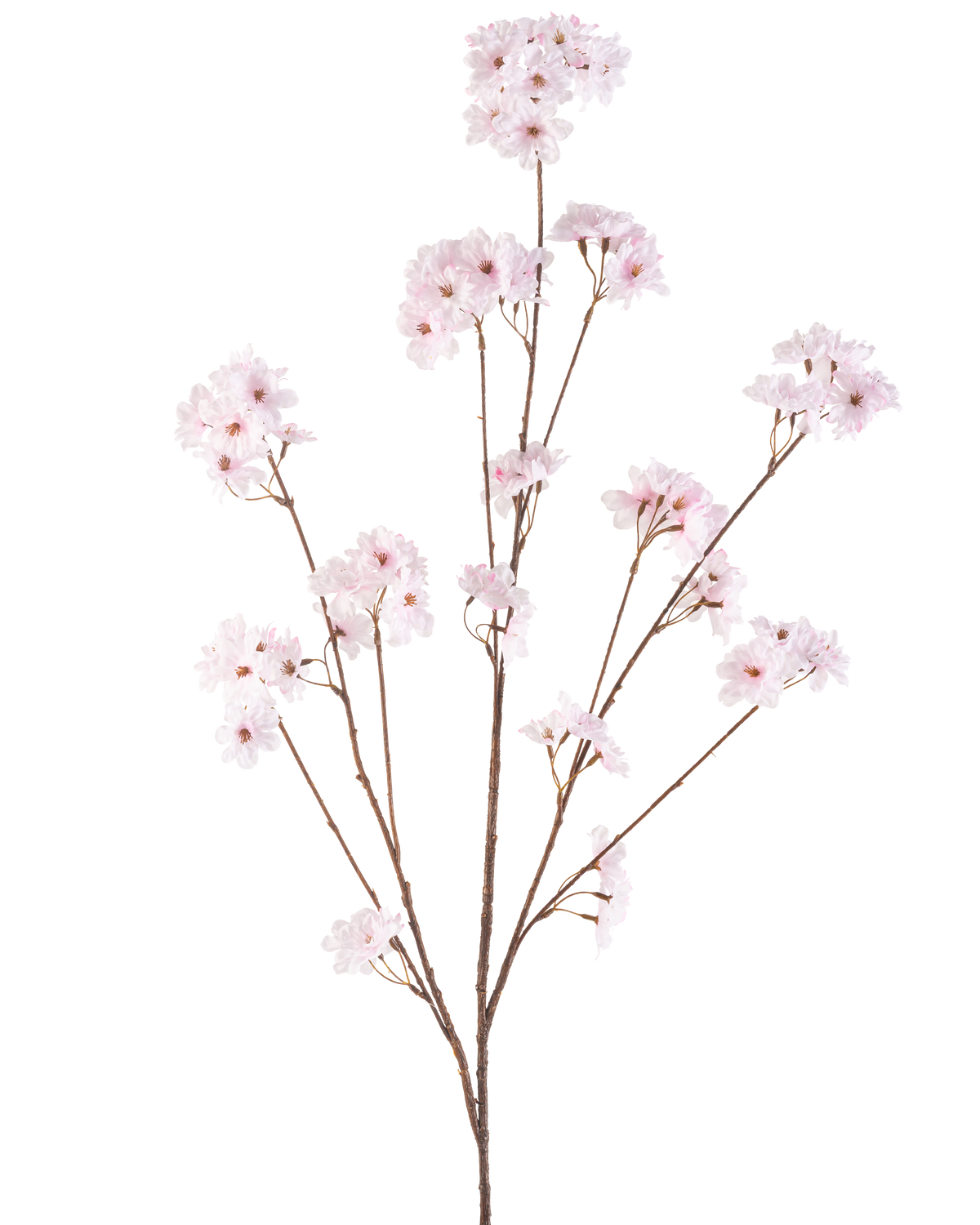 La Flor de Cerezo Artificial 130 cm rosa claro tiene varios tallos finos con racimos de delicadas flores de cerezo de color rosa claro, bellamente dispuestas y aisladas sobre un fondo blanco.
