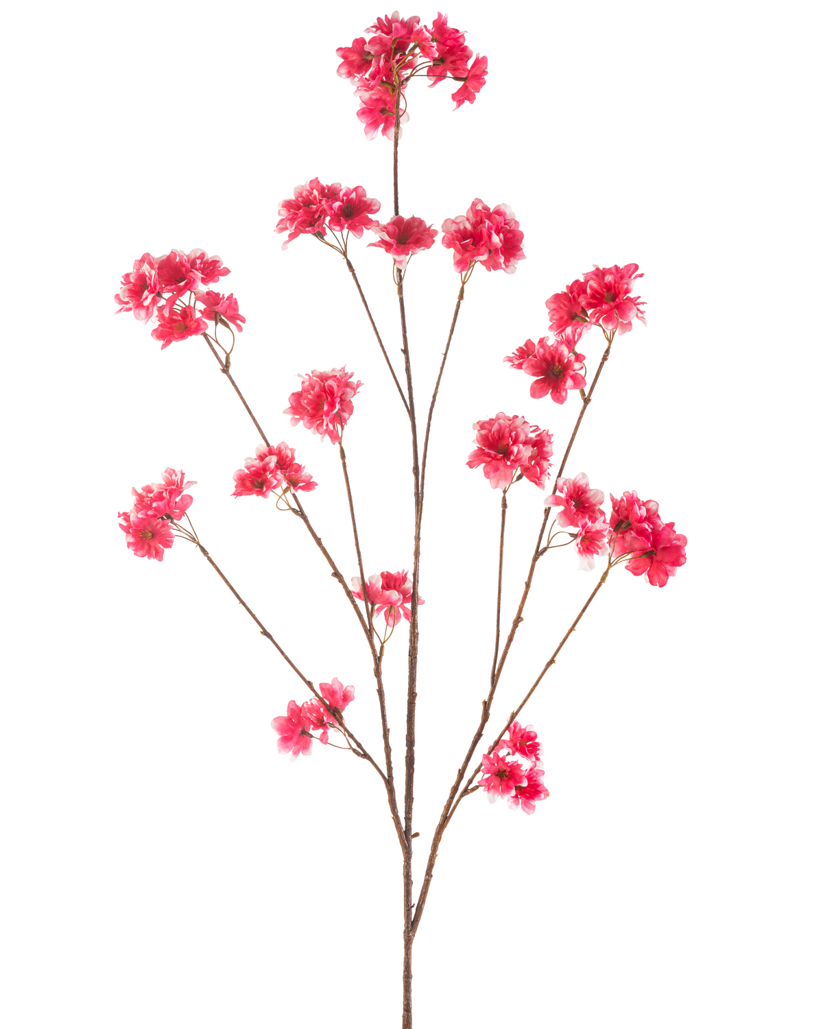 La flor artificial de cerezo en flor fucsia de 130 cm tiene un solo tallo con múltiples ramas delgadas de color marrón, cada una decorada con racimos de vibrantes flores artificiales de Navidad de color fucsia, sobre un fondo blanco liso.