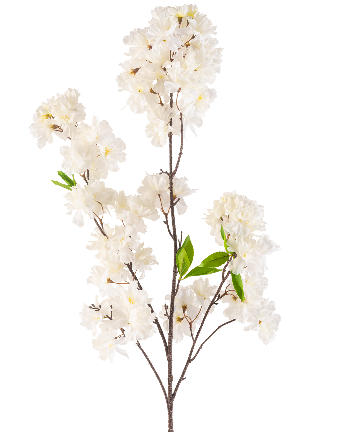 Una flor de cerezo artificial de 119 cm color crema con racimos de delicadas flores blancas y algunas hojas de color verde brillante sobre delgados tallos marrones, aisladas sobre un fondo blanco.