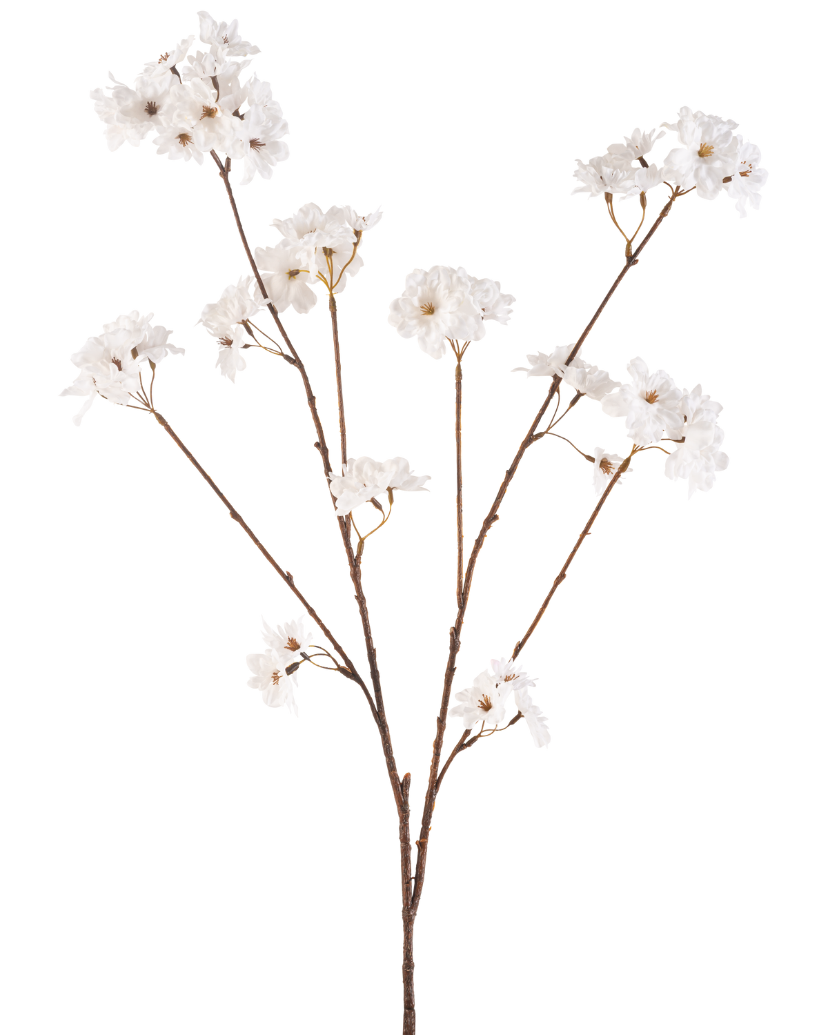 La Flor Artificial Cerezo en Flor Crema de 114 cm tiene un tallo marrón que se ramifica en tallos más pequeños, cada uno decorado con delicadas flores artificiales en un tono blanco crema, sobre un fondo blanco liso.