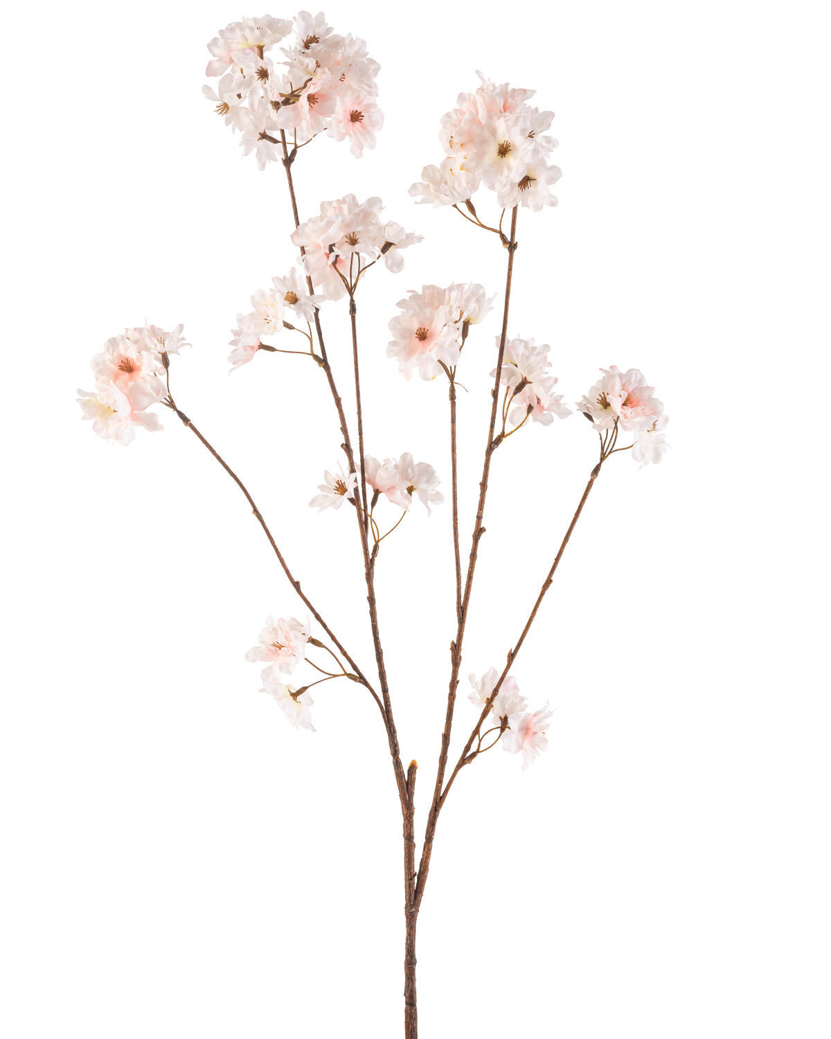 La flor de cerezo artificial color rubor de 114 cm tiene un solo tallo marrón con varias ramas rematadas con delicadas flores de cerezo de color rosa rubor, bellamente aisladas sobre un fondo blanco.