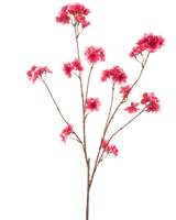 De Kunstbloem Kersenbloesem 114 cm fuchsia toont een enkele bruine tak met meerdere stelen, elk met clusters van levendige fuchsia kunstkerstbloesem bloemen tegen een effen witte achtergrond.