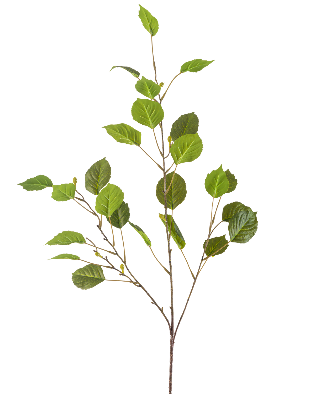 La Rama Artificial 118 cm verde es una única rama delgada con múltiples hojas verdes y pequeños cogollos, aislada sobre un fondo blanco.