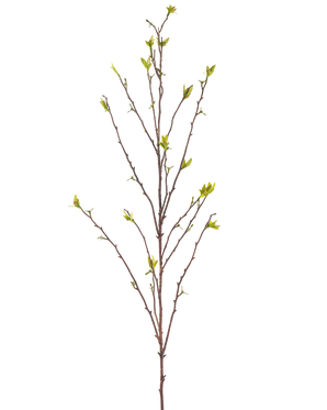La Rama Artificial Winterzoet 107 cm verde tiene una sola rama desnuda con ramas finas y pequeñas hojas verdes en los extremos, sobre un fondo blanco liso.