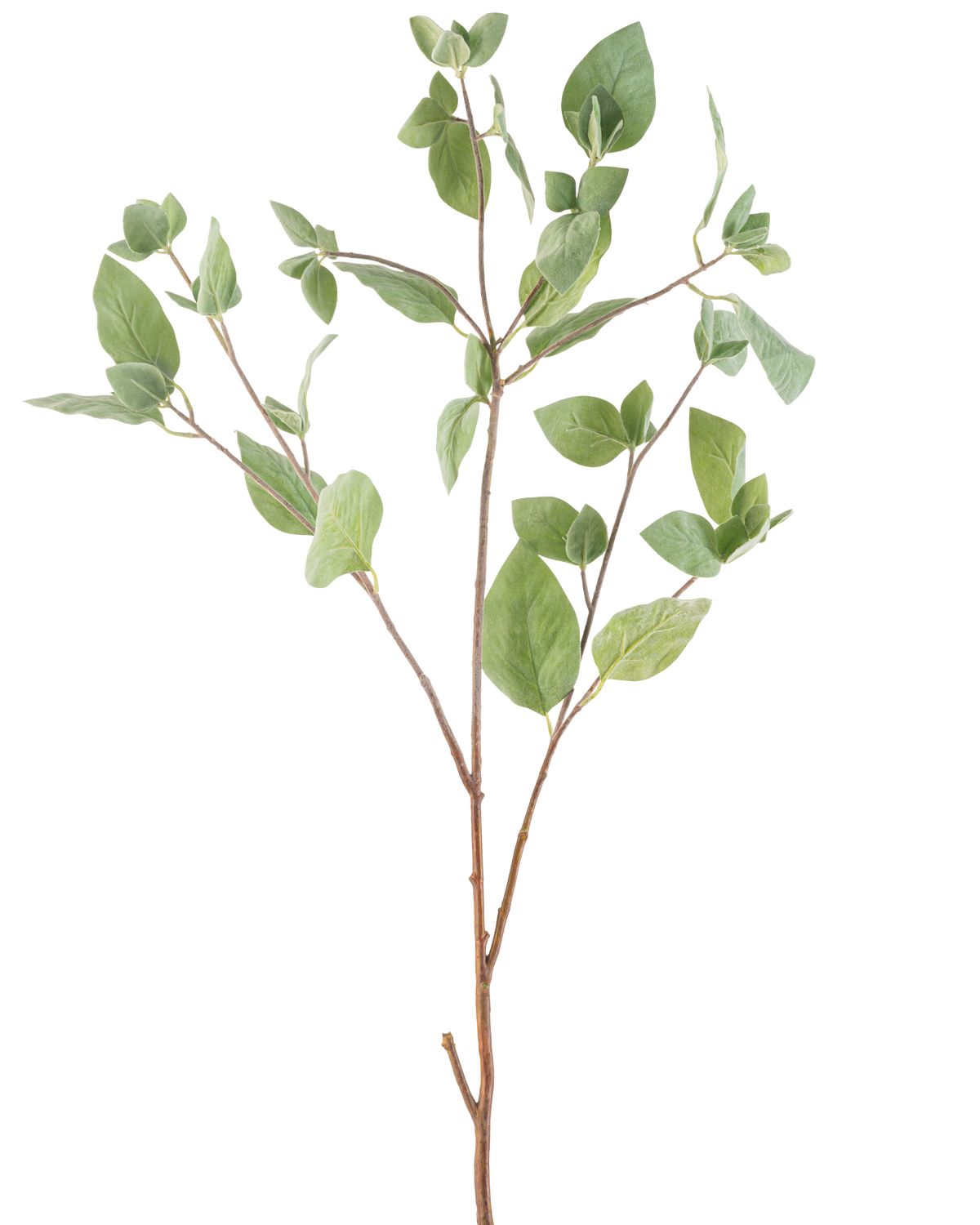 La Rama Artificial Hoja de Menta 97 cm verde tiene varios tallos finos con hojas ovaladas de color verde sobre un fondo blanco liso.