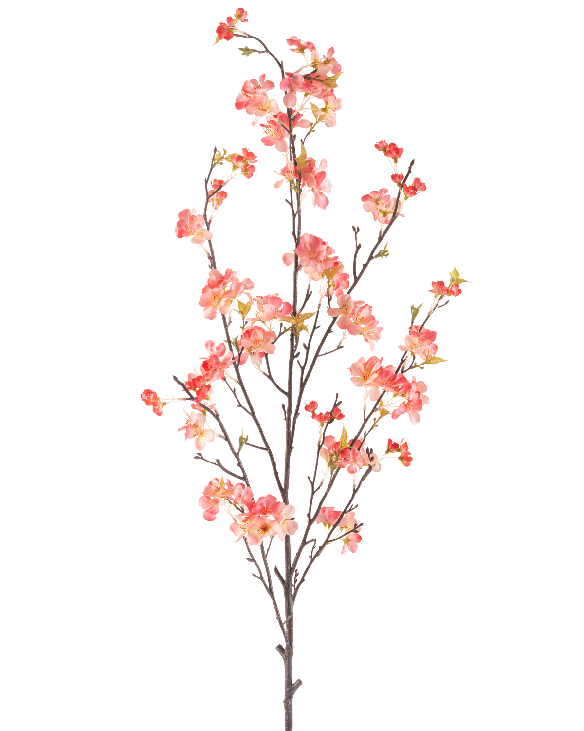 La flor artificial de cerezo en flor de melocotón de 150 cm tiene una sola rama alta con múltiples tallos delgados, decorada con racimos de pequeñas flores rosas y rojas y algunas hojas verdes, sobre un fondo blanco liso.