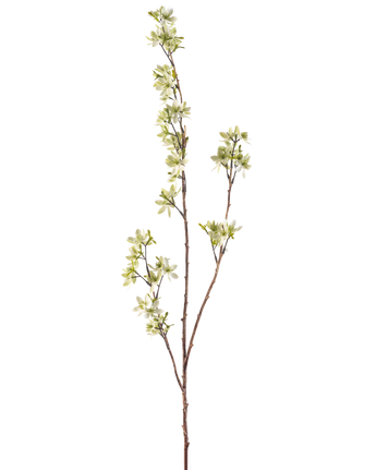 De Kunstbloem Bloemen 102 cm groen is een enkele, slanke bruine tak met verschillende uitlopers en kleine trosjes lichtgroene en witte bloemen tegen een effen witte achtergrond.
