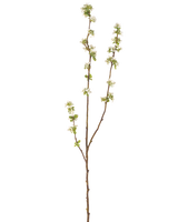 De Kunsttak Zaaddoos 104 cm crème heeft een enkele bruine tak met kleine groene blaadjes en trosjes kleine witte bloemetjes tegen een effen witte achtergrond.