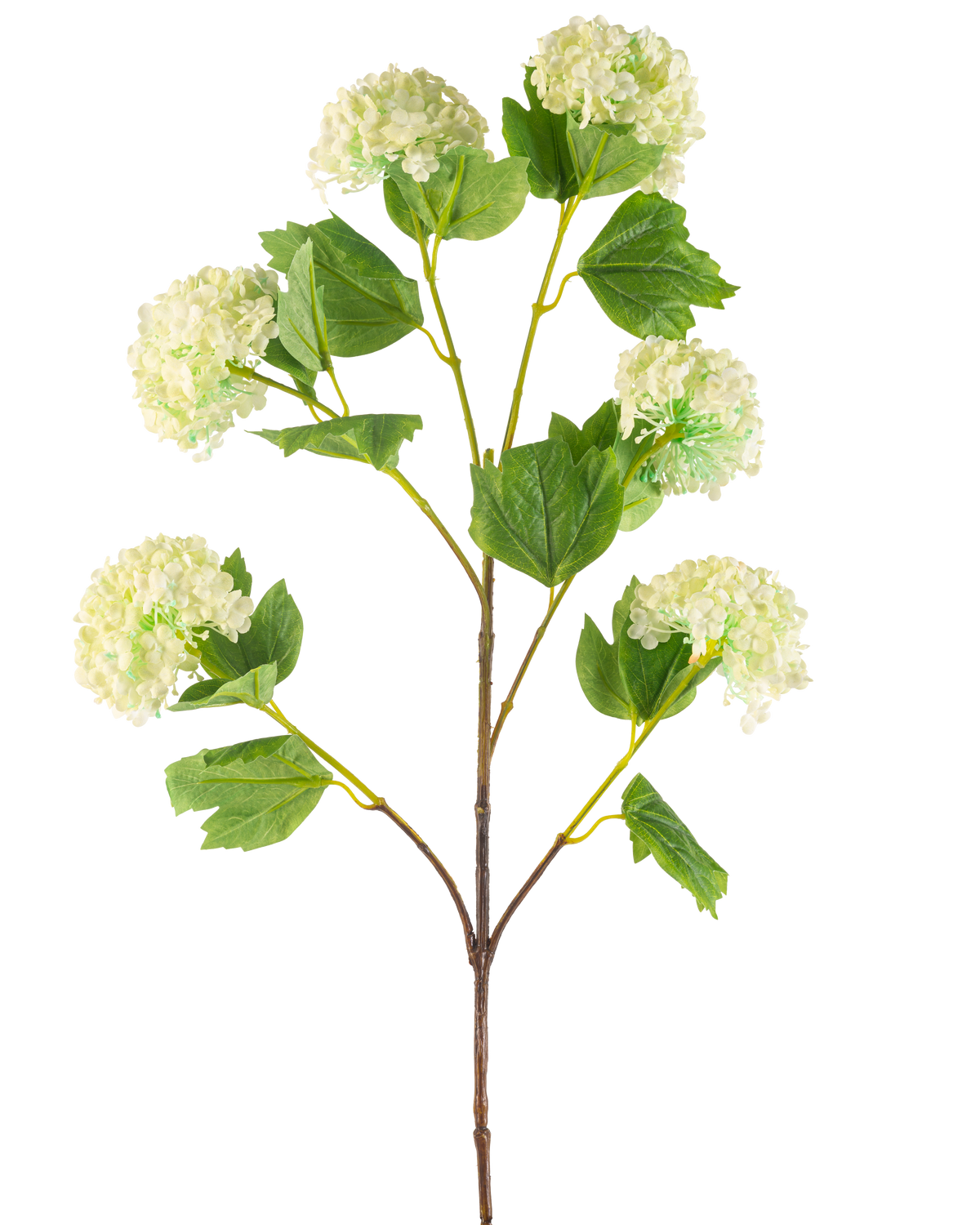 La flor artificial Bola de nieve de 94 cm verde tiene un único tallo artificial con racimos de flores de color verde claro que parecen hortensias y algunas hojas verdes, representadas sobre un fondo blanco.