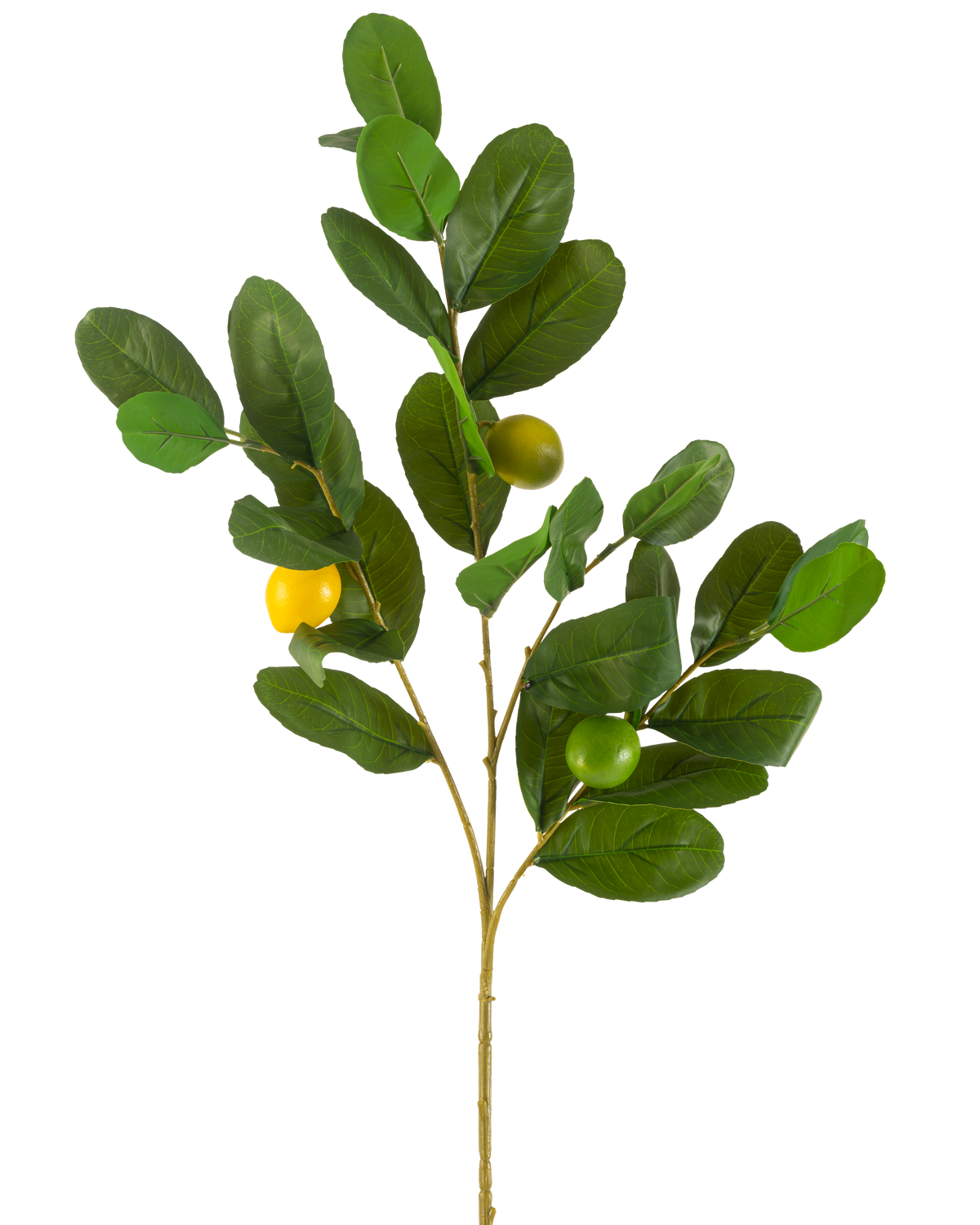 La Rama Artificial Limón 80 cm verde tiene una rama con hojas anchas y brillantes de color verde y tres frutos redondos de color amarillo verdoso, sobre un fondo blanco liso.