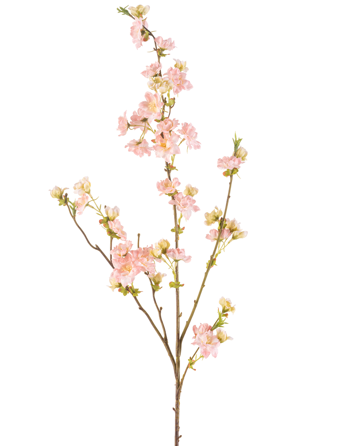 La Flor Artificial de Cerezo en Flor 94 cm rosa claro tiene una sola rama con múltiples retoños, decorada con ramos de delicadas flores de cerezo de color rosa claro y capullos verdes, sobre un fondo liso blanco.