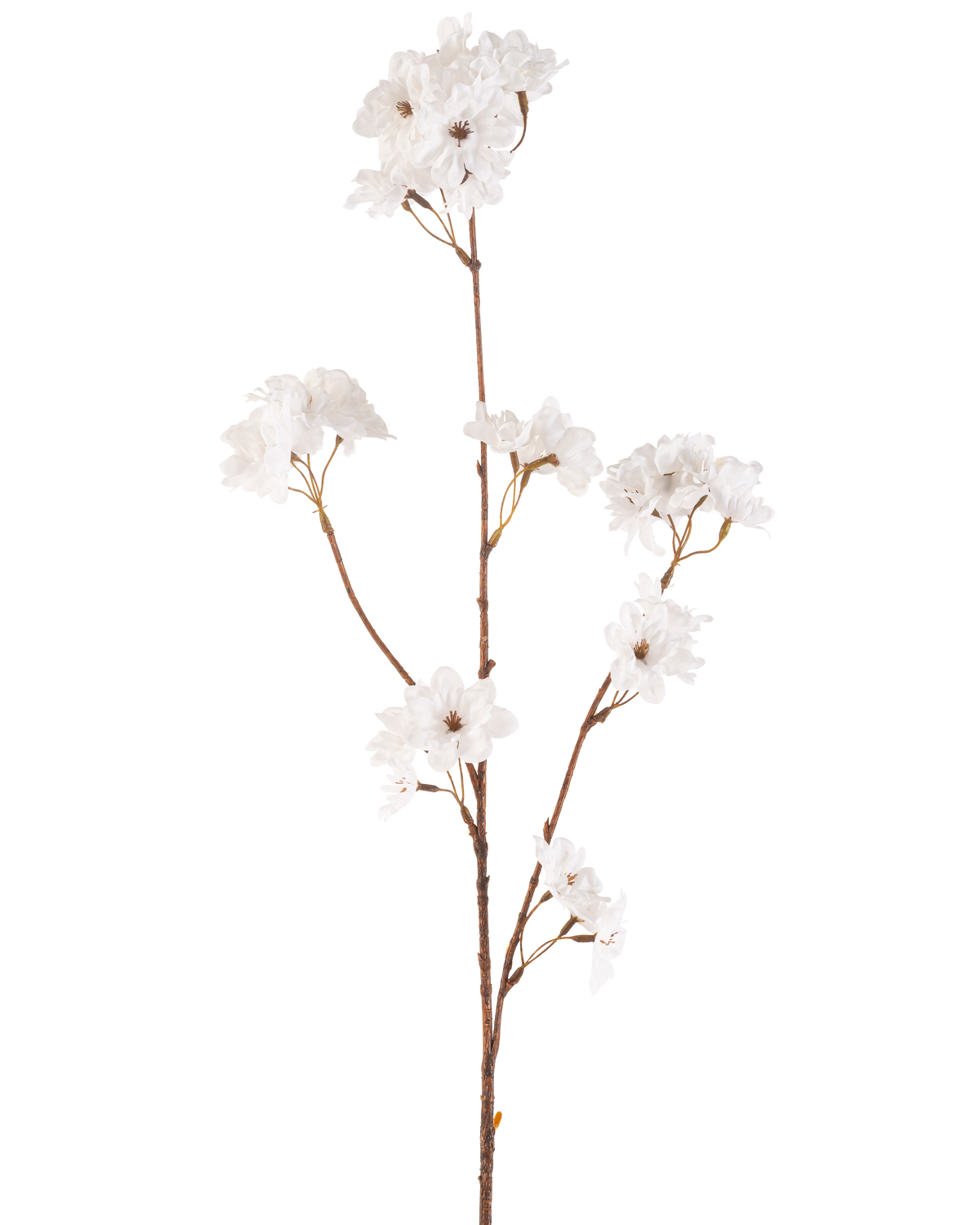 La flor artificial de cerezo en flor de 85 cm color crema tiene un tallo delgado de color marrón con múltiples ramas que sostienen racimos de delicadas flores de cerezo artificiales color crema, todo sobre un fondo blanco liso.