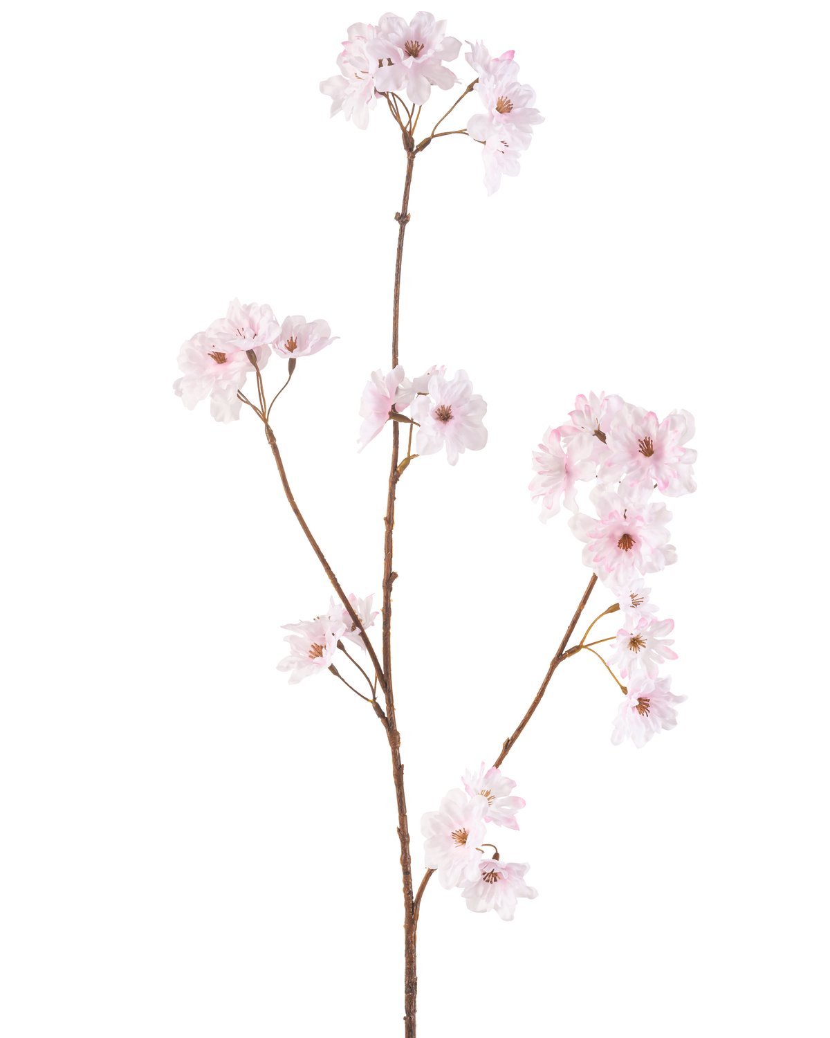 La flor artificial de cerezo en flor de 85 cm rosa claro tiene un tallo único y esbelto de color marrón con racimos de delicadas flores de cerezo de color rosa claro, bellamente aisladas sobre un fondo blanco.
