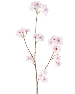 De Kunstbloem Kersenbloesem 85 cm lichtroze heeft een enkele slanke bruine steel met trosjes delicate lichtroze kersenbloesems, prachtig geïsoleerd op een witte achtergrond.