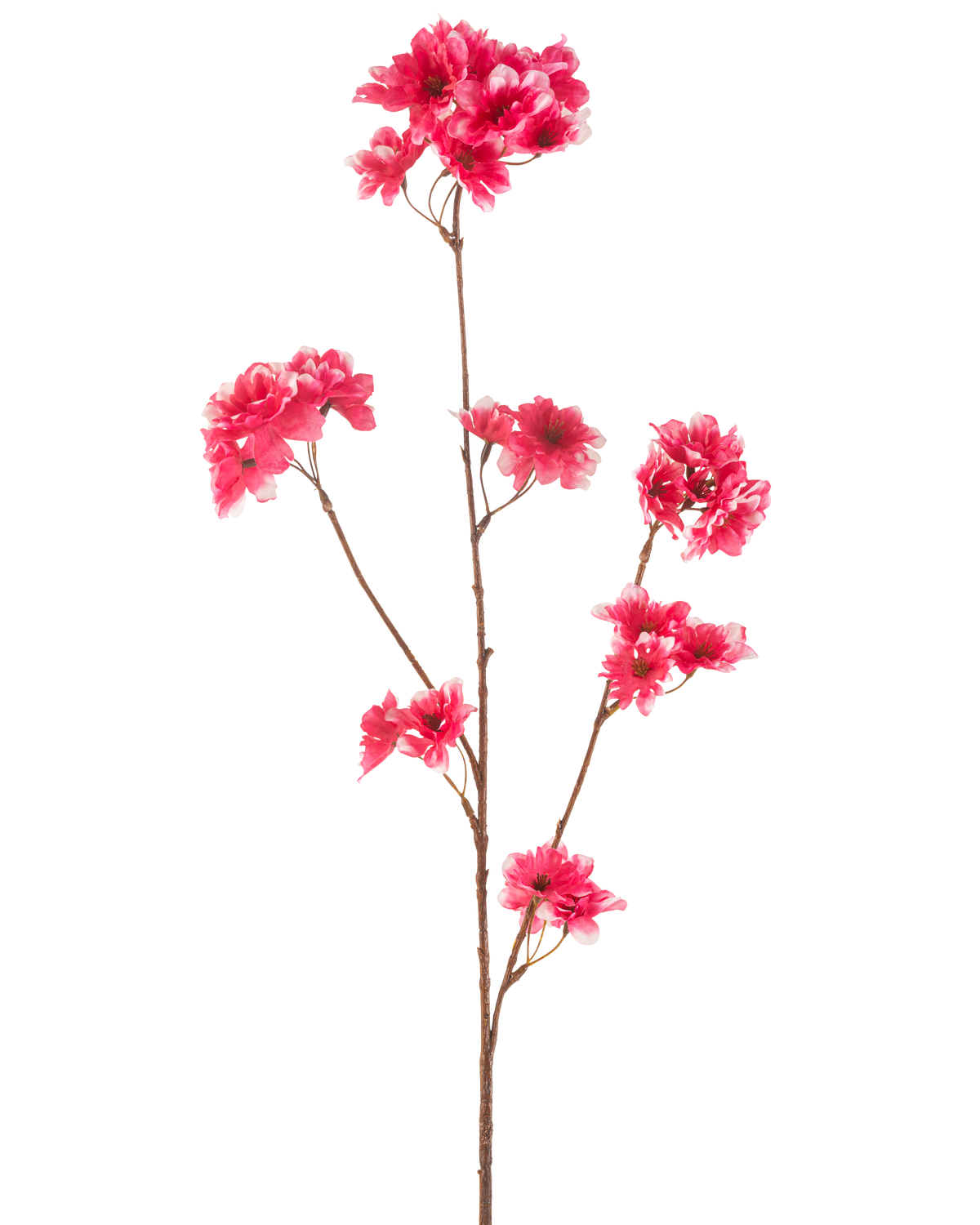 La flor de cerezo artificial en flor de 85 cm fucsia tiene un solo tallo marrón con múltiples ramas, cada una decorada con racimos de vibrantes flores de cerezo artificiales de color fucsia, sobre un fondo blanco liso.