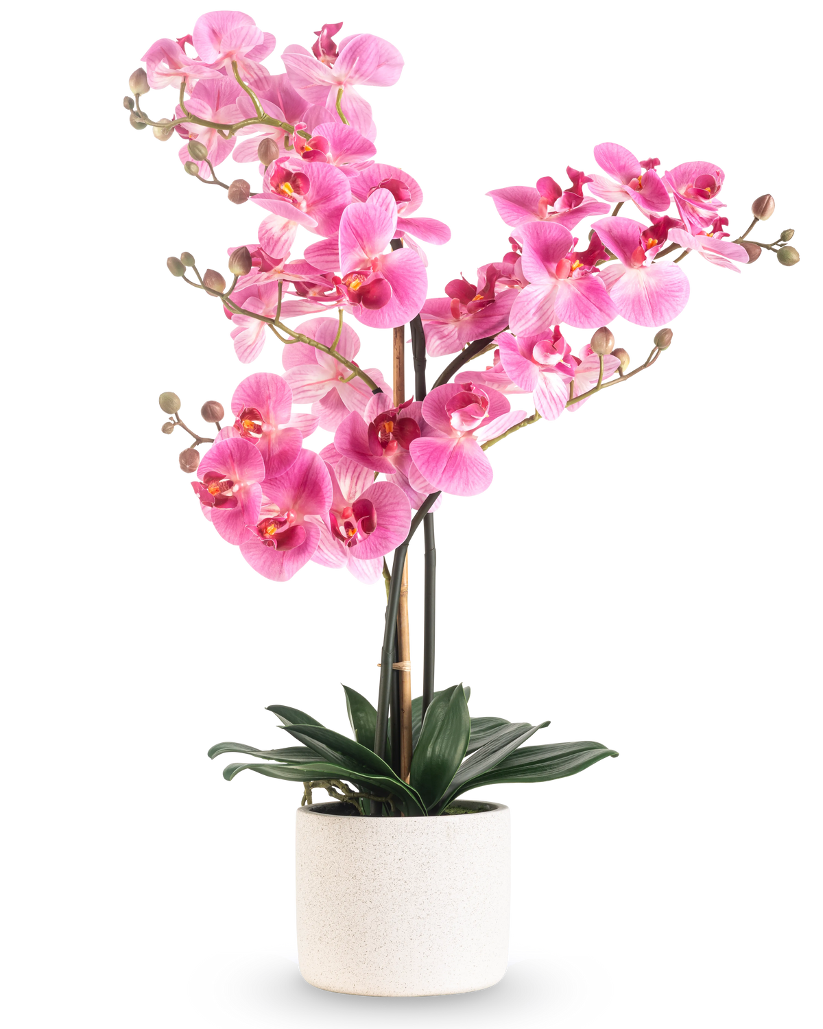 La Orquídea Artificial Real Touch 68 cm rosa tiene una orquídea rosa vibrante con múltiples tallos y hojas verdes en una maceta de cerámica blanca, sobre un fondo blanco liso.