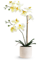 La Orquídea Artificial Real Touch 60 cm verde/blanco tiene flores blancas con un corazón amarillo claro y capullos verdes, sostenidas por bambú en una sencilla maceta moteada de color crema, sobre un fondo blanco.