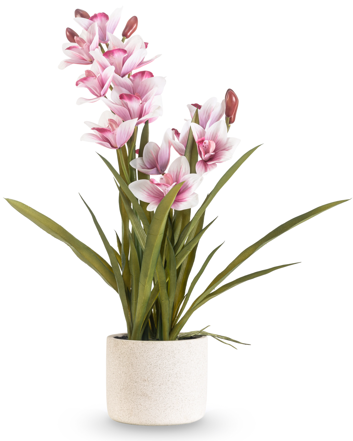 El Cymbidium Artificial Real Touch 60 cm rosa tiene largas hojas verdes y múltiples orquídeas rosas y blancas en tallos largos, dispuestas en una sencilla maceta con textura blanquecina sobre un fondo liso.