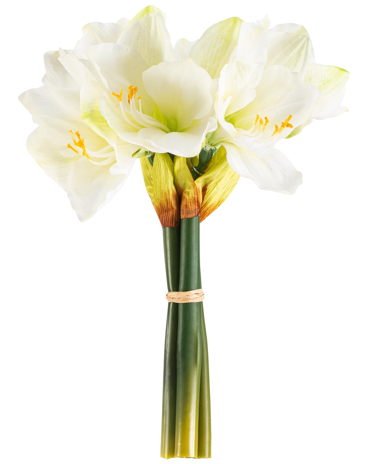 La Flor Artificial Amarilis Real Touch blanca de 36 cm tiene flores realistas de amarilis blancas con centros de color verde claro y estambres amarillos, atadas con una banda beige alrededor de tallos verdes, perfectas sobre un fondo blanco liso.