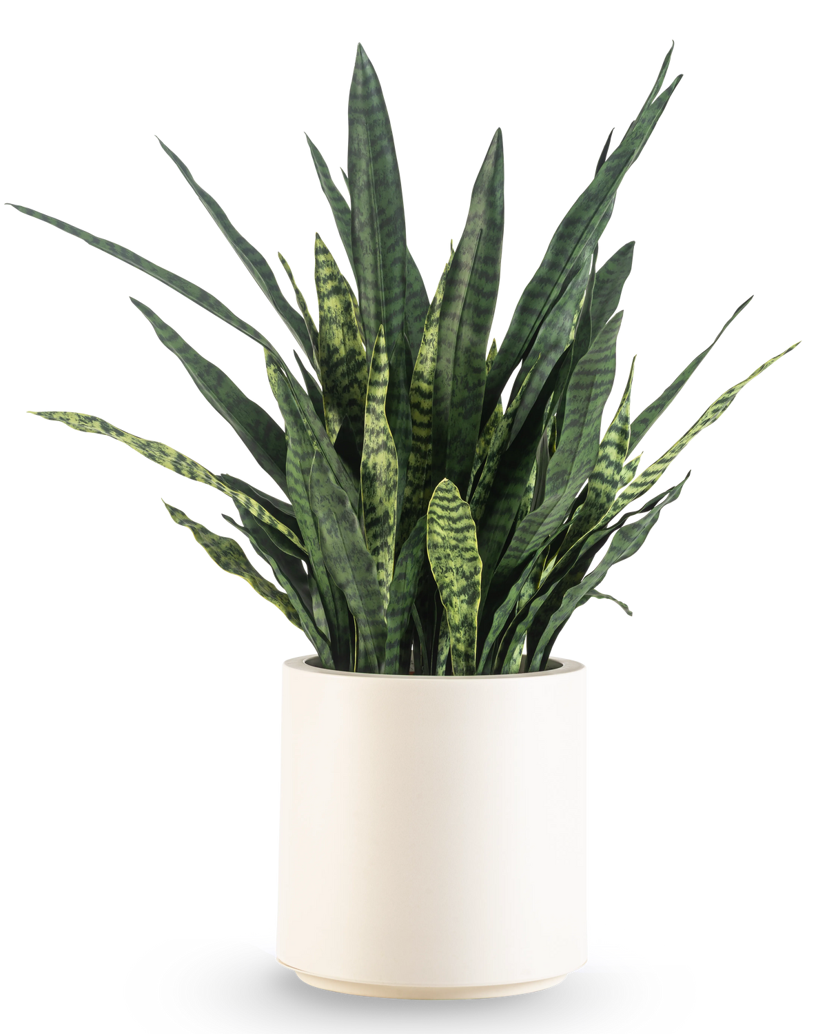 Una Sansevieria Zeylanica artificial, de 43 cm de altura con largas hojas abigarradas, viene en una maceta beige y está representada sobre un fondo blanco liso.
