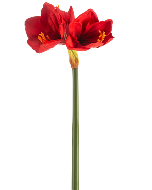 De Kunstbloem Amaryllis Real Touch rood 66 cm heeft een enkele groene steel met twee grote, levendige rode bloemen en gele meeldraden, tegen een effen witte achtergrond.