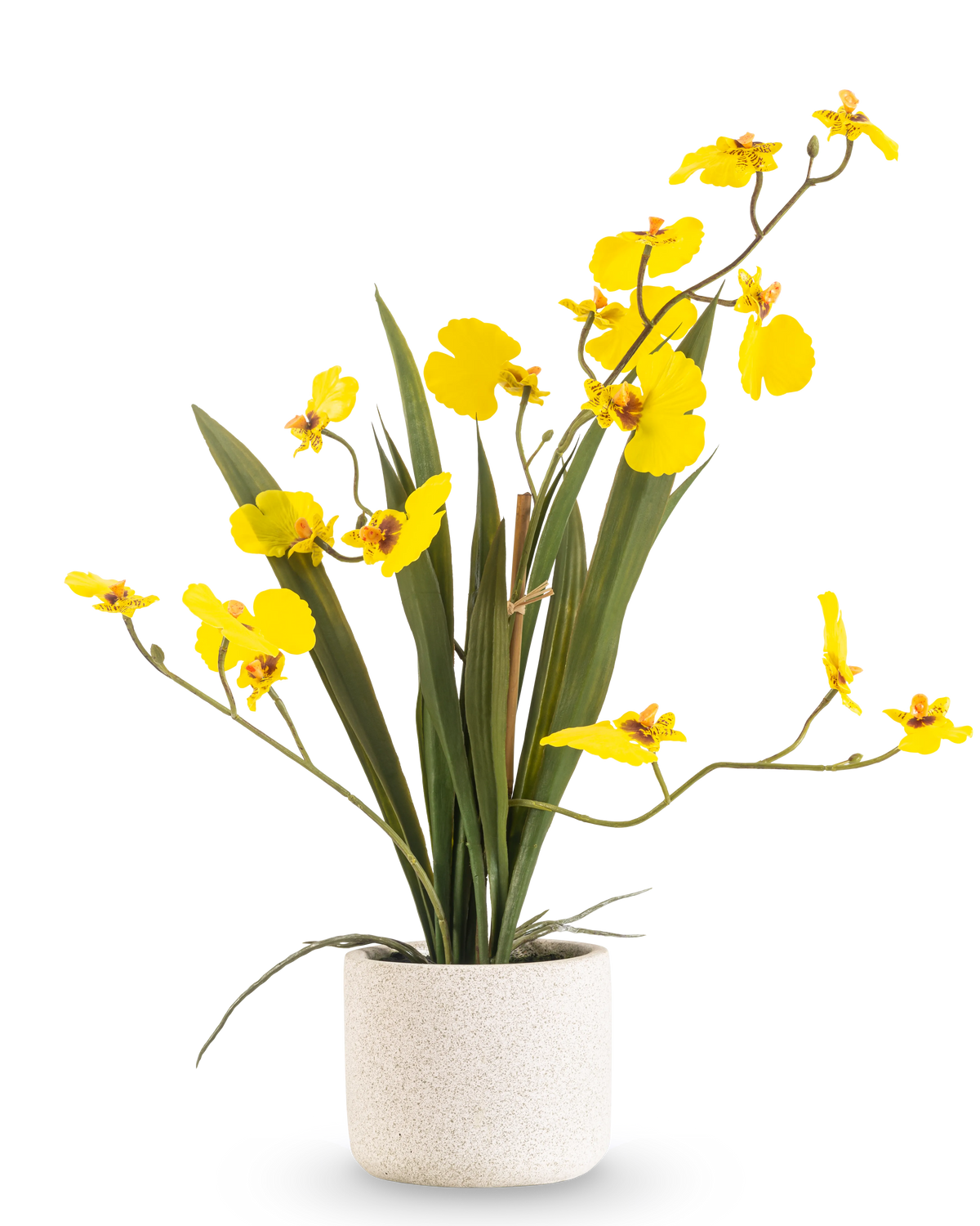 El Oncidium artificial Real Touch 48 cm amarillo tiene hojas largas y delgadas y tallos largos con orquídeas de color amarillo brillante en una maceta blanca, sobre un fondo blanco liso.