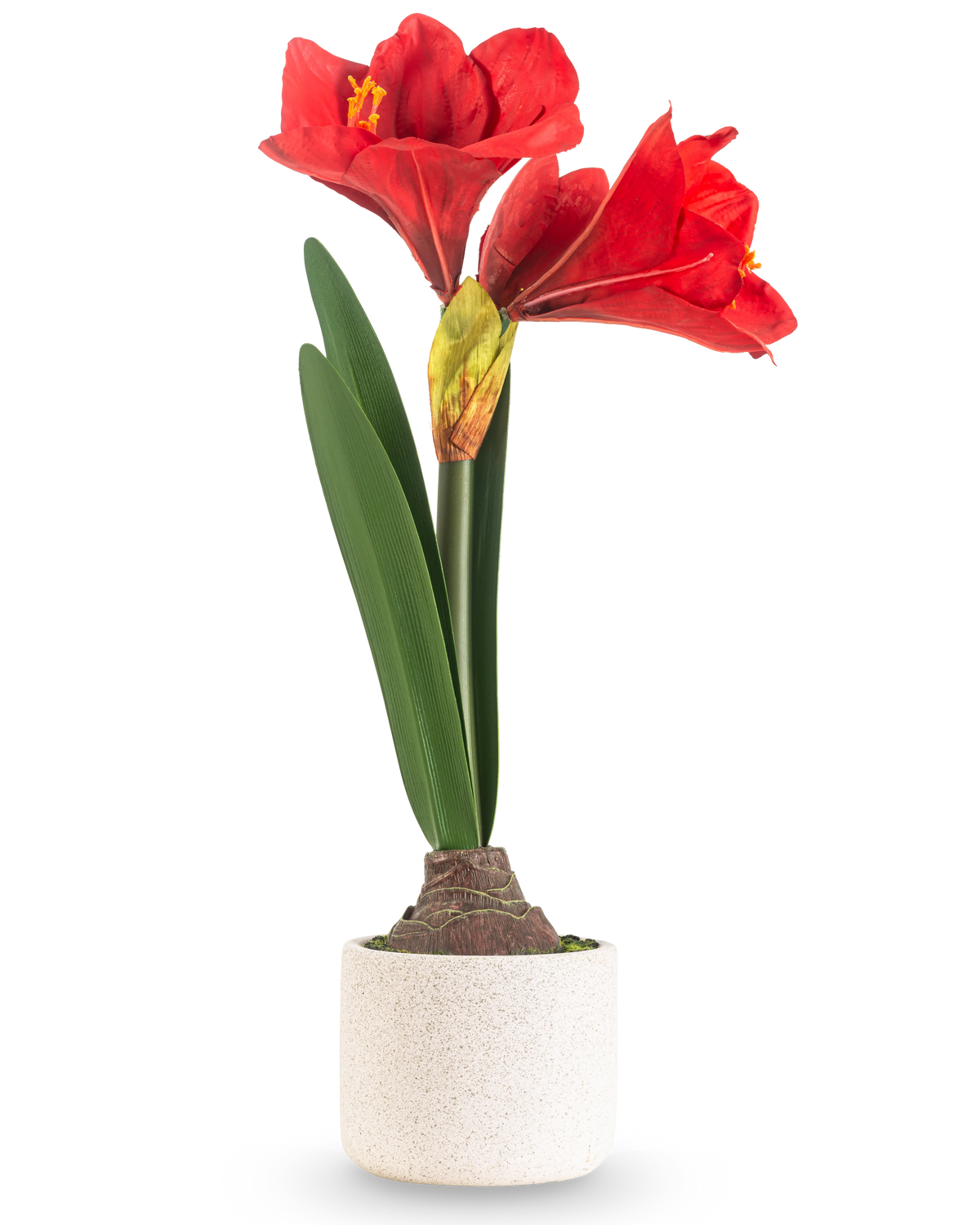 La Flor Artificial Amarilis Real Touch rojo 48 cm tiene dos grandes flores rojas y largas hojas verdes, presentadas en una sencilla maceta de textura blanca sobre un fondo liso y claro.