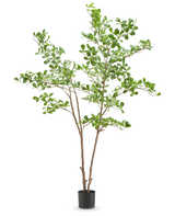 De Kunstplant Mahonia 180 cm heeft meerdere dunne bruine stelen en overvloedige kleine groene bladeren, gepresenteerd in een pot tegen een effen witte achtergrond.