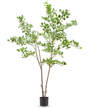 De Kunstplant Mahonia 180 cm heeft meerdere dunne bruine stelen en overvloedige kleine groene bladeren, gepresenteerd in een pot tegen een effen witte achtergrond.
