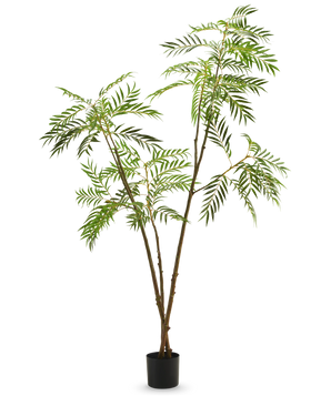 La planta artificial Mahonia 210 cm es una planta artificial alta en una maceta con tallos delgados de color marrón y hojas verdes largas y estrechas, representadas sobre un fondo blanco liso.