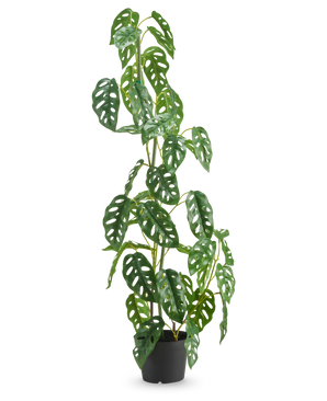 La Planta Artificial Monstera 90 cm verde es una planta artificial alta, verde, con hojas ovaladas con múltiples agujeros, expuesta en una maceta sobre un fondo blanco liso.