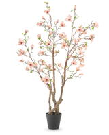 De Kunstplant Magnolia 220 cm is een kunstmagnoliaboom in pot met meerdere bruine takken, lichtroze bloemen en groene bladeren in een eenvoudige zwarte pot tegen een witte achtergrond.