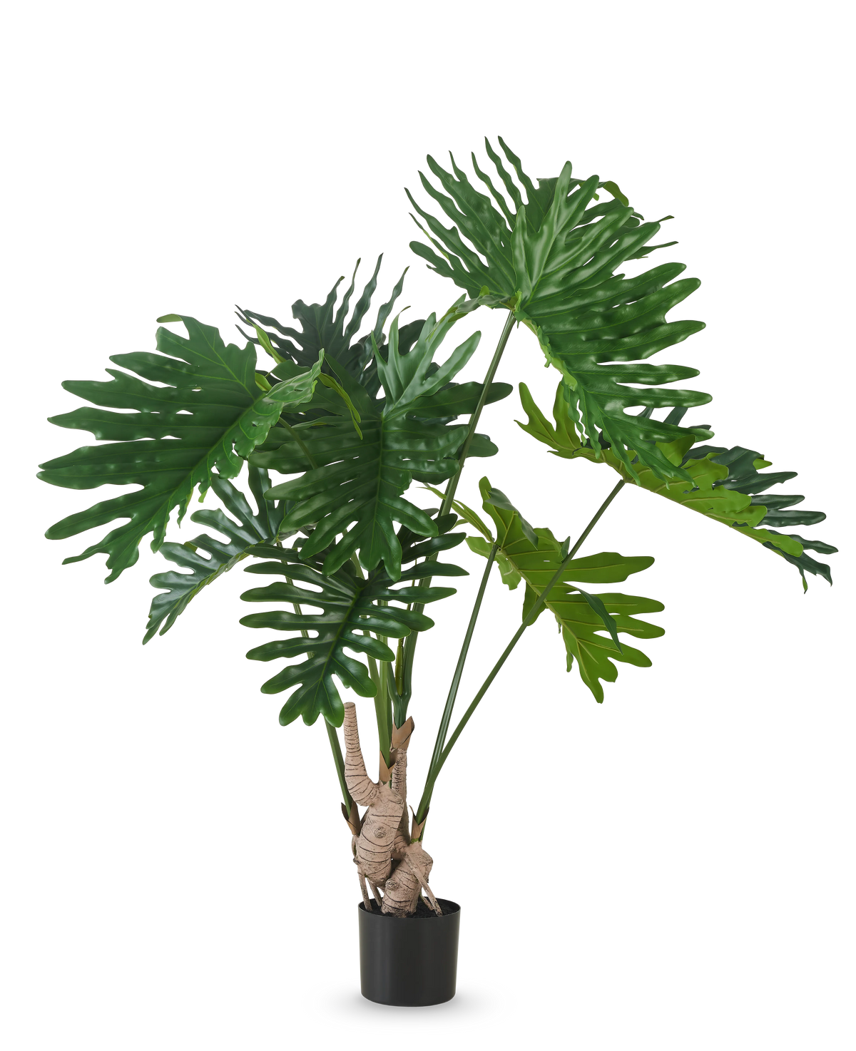 La planta artificial Filodendro de 150 cm tiene hojas verdes grandes, brillantes y profundamente lobuladas sobre tallos largos, sobre un fondo blanco liso.