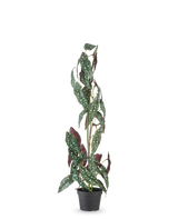 De Kunstplant Begonia Maculata 90 cm groen/rood heeft hoge, rechtopstaande stelen en groene bladeren met witte stippen en roodpaarse onderkant, tegen een effen witte achtergrond.