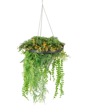 De Kunst hangplant varen UV 40 cm in ring zwart heeft weelderige groene en gele kunstplanten en slingerende wijnranken in een zwarte hangplant met zilveren kettingen, tegen een witte achtergrond.