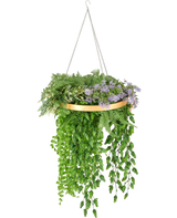 De Kunst hangplant varen UV 40 cm in ring goud heeft realistisch groen hangend varenblad gerangschikt in een gouden ring en is opgehangen aan zilveren kettingen voor een stijlvolle hangende display.
