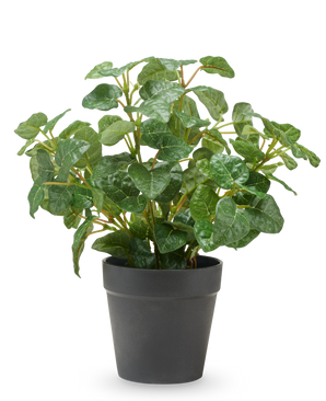 Pumila artificial en maceta 25 cm UV