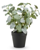 De Kunst Pumila "Silver" in pot UV 25 cm heeft groene, ovaalvormige kunstbladeren in een eenvoudige zwarte kunststof pot, tegen een effen witte achtergrond.