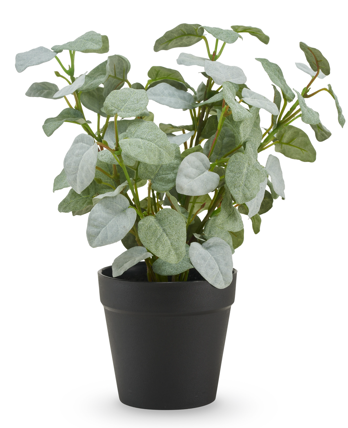 La Pumila artificial "Silver" en maceta UV 25 cm tiene hojas artificiales verdes de forma ovalada en una sencilla maceta de plástico negro, sobre un fondo blanco liso.