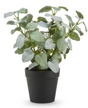 La Pumila artificial "Silver" en maceta UV 25 cm tiene hojas artificiales verdes de forma ovalada en una sencilla maceta de plástico negro, sobre un fondo blanco liso.