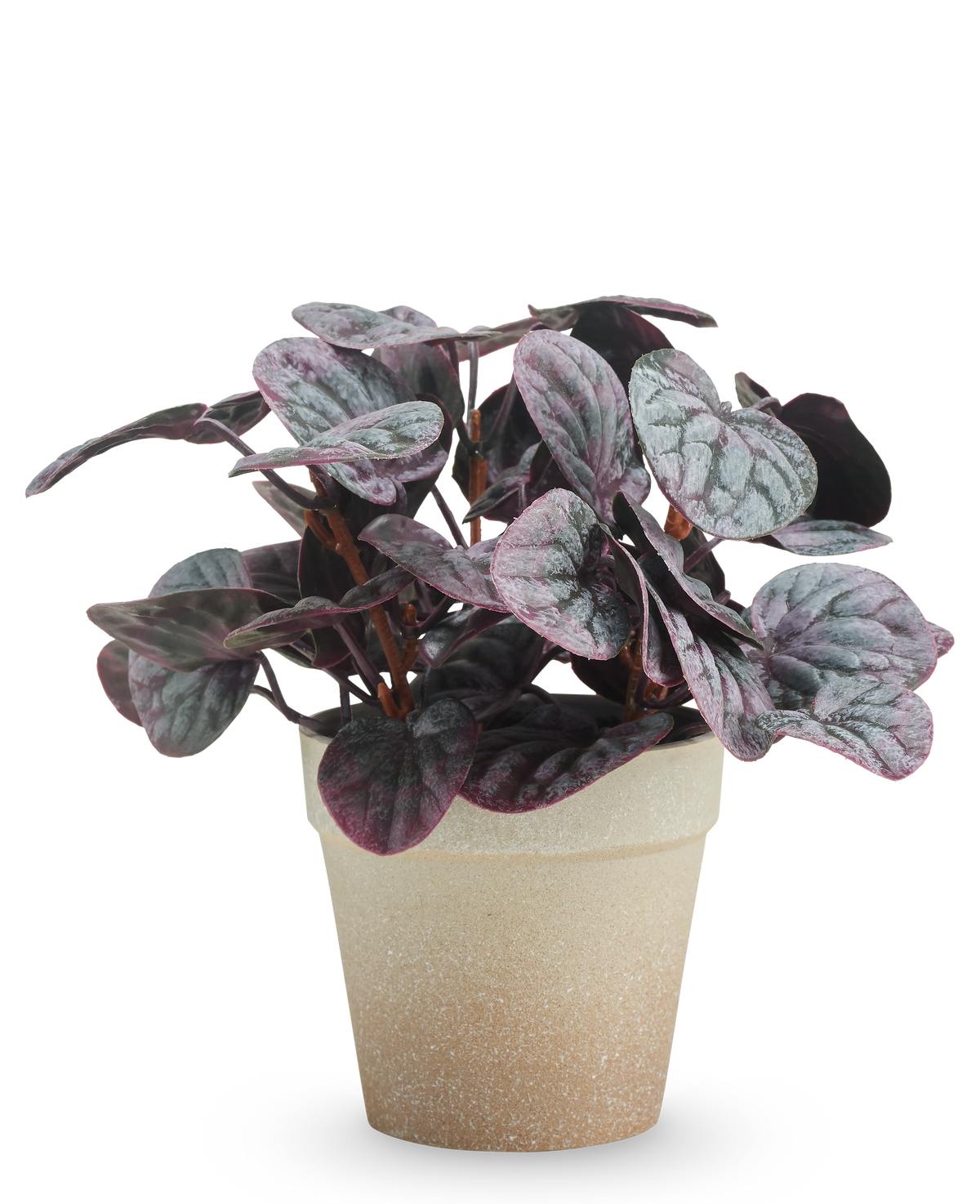 La hoja rugosa artificial de 21 cm gris tiene hojas abigarradas de color violeta oscuro y verde en una maceta con estructura de color marrón claro, presentada sobre un fondo blanco liso.