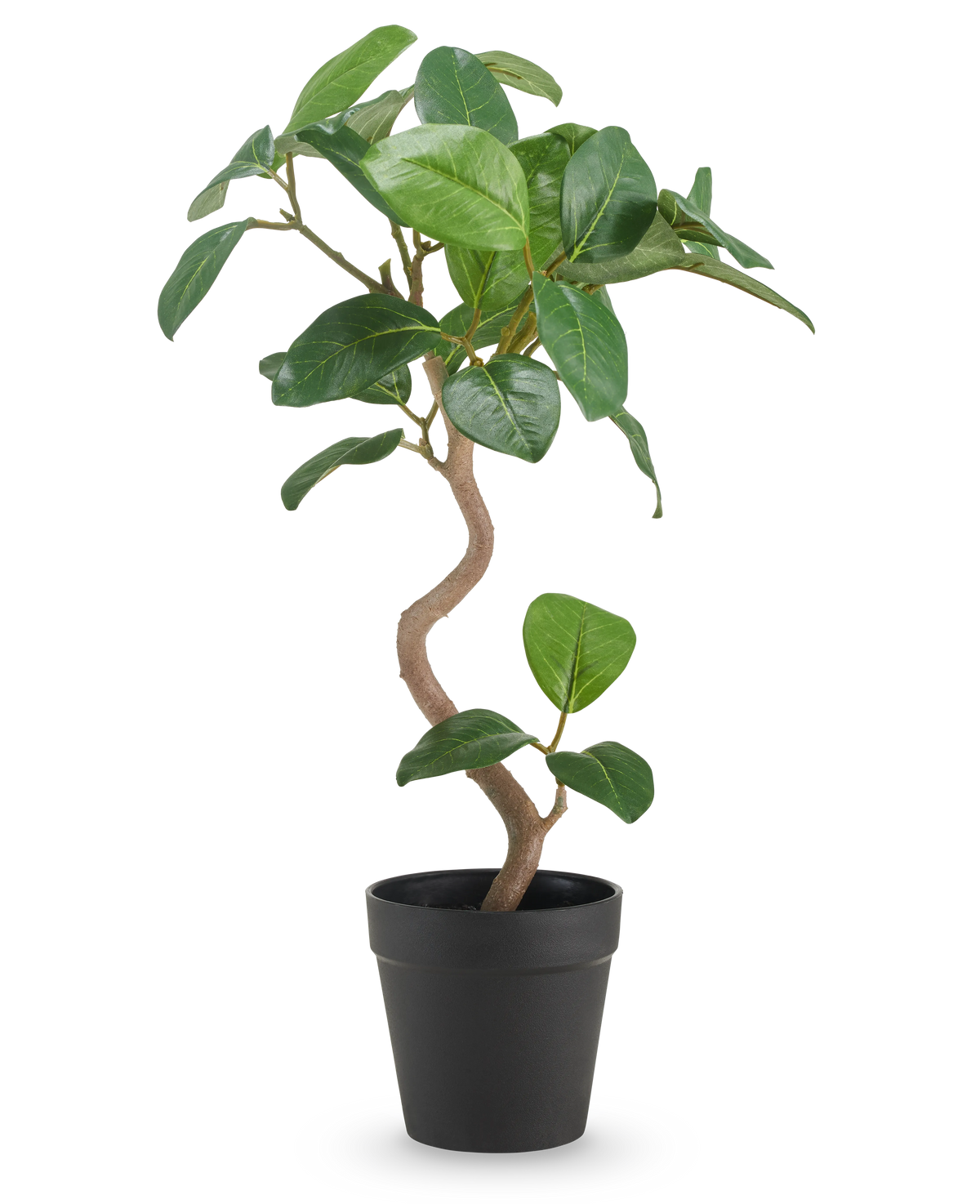 El Ficus Elastica Artificial de 42 cm tiene un tronco retorcido y hojas anchas de color verde brillante, presentado en una sencilla maceta negra sobre un fondo blanco liso.