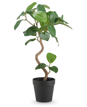 El Ficus Elastica Artificial de 42 cm tiene un tronco retorcido y hojas anchas de color verde brillante, presentado en una sencilla maceta negra sobre un fondo blanco liso.