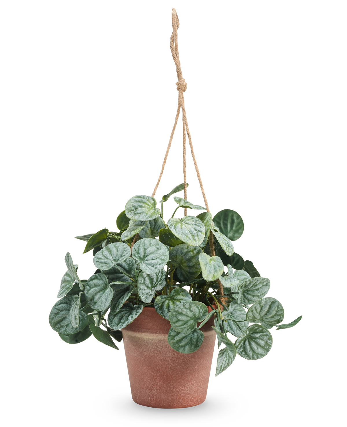 La hoja artificial de rugosa de 29 cm gris en maceta colgante tiene hojas verdes redondas estampadas y cuelga en una maceta con una cuerda color canela sobre un fondo blanco liso.