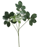 De Kunsttak Schefflera 50 cm FR heeft een enkele stengel met meerdere trossen brede, donkergroene bladeren en enkele lichtere groene bladeren, tegen een witte achtergrond.