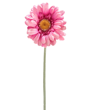 De Kunstbloem Gerbera 53 cm donker roze is een enkele donkerroze kunstmargriet met een geel hart op een lange groene steel, geïsoleerd op een witte achtergrond.
