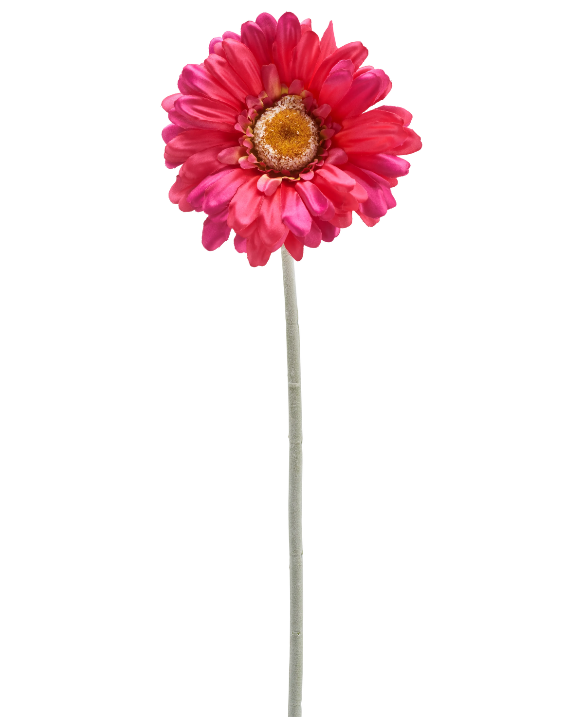 Una sola flor de Gerbera artificial de 53 cm de color burdeos con un largo tallo verde, aislada sobre un fondo blanco.