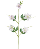 De Kunstbloem Celematis 78 cm wit heeft een enkele groene stengel met vijf witte stervormige bloemen, meerdere groene bladeren die symmetrisch gerangschikt zijn en gekrulde ranken. De achtergrond is egaal wit.