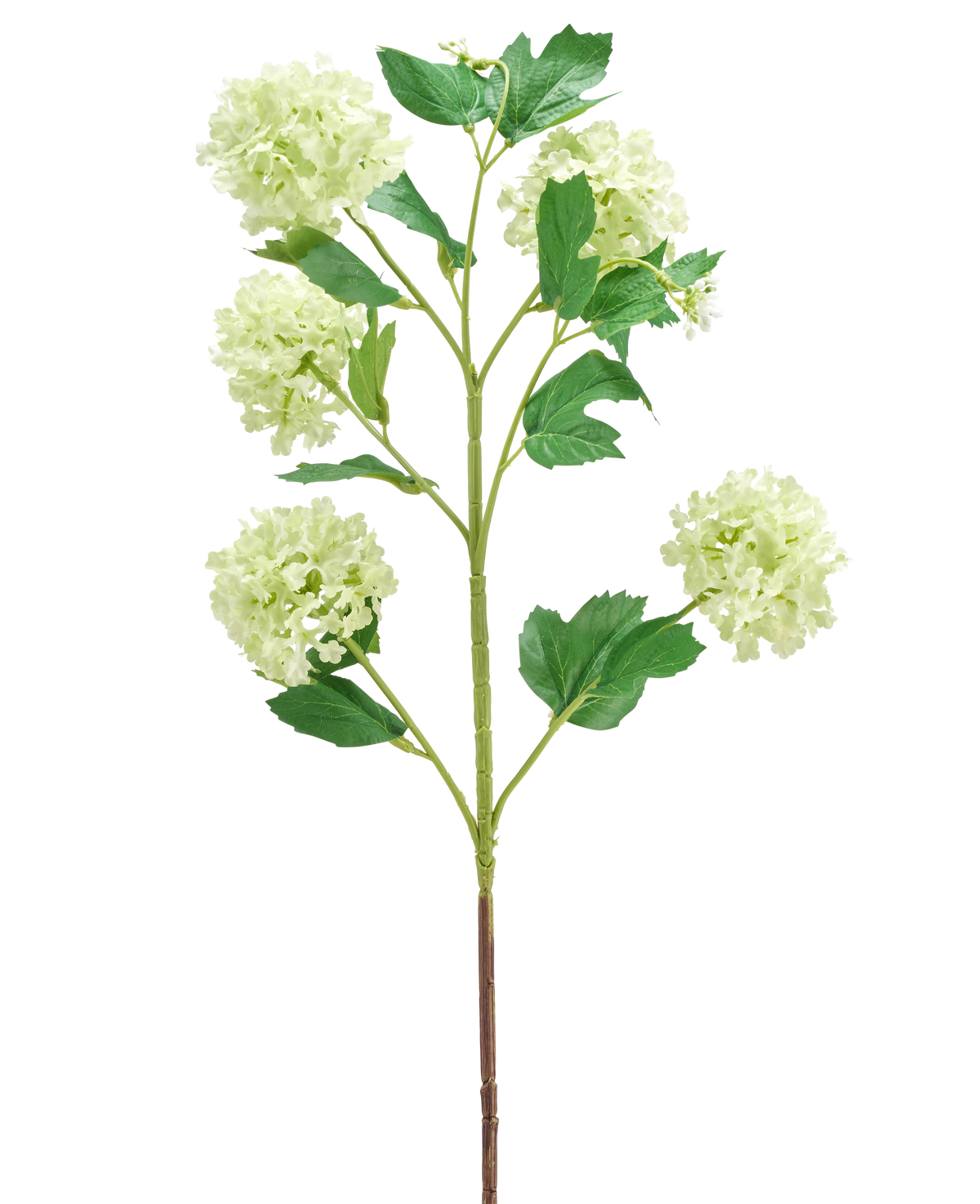 La Flor Artificial Bola de Nieve 77 cm verde tiene un único tallo verde con múltiples ramas, cada una decorada con ramos de flores redondas de color verde claro y varias hojas verdes, todas aisladas sobre un fondo blanco.