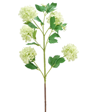 De Kunstbloem Sneeuwbal 77 cm groen heeft een enkele groene stengel met meerdere takken, elk versierd met trosjes ronde, lichtgroene bloemen en verschillende groene bladeren, allemaal geïsoleerd op een witte achtergrond.